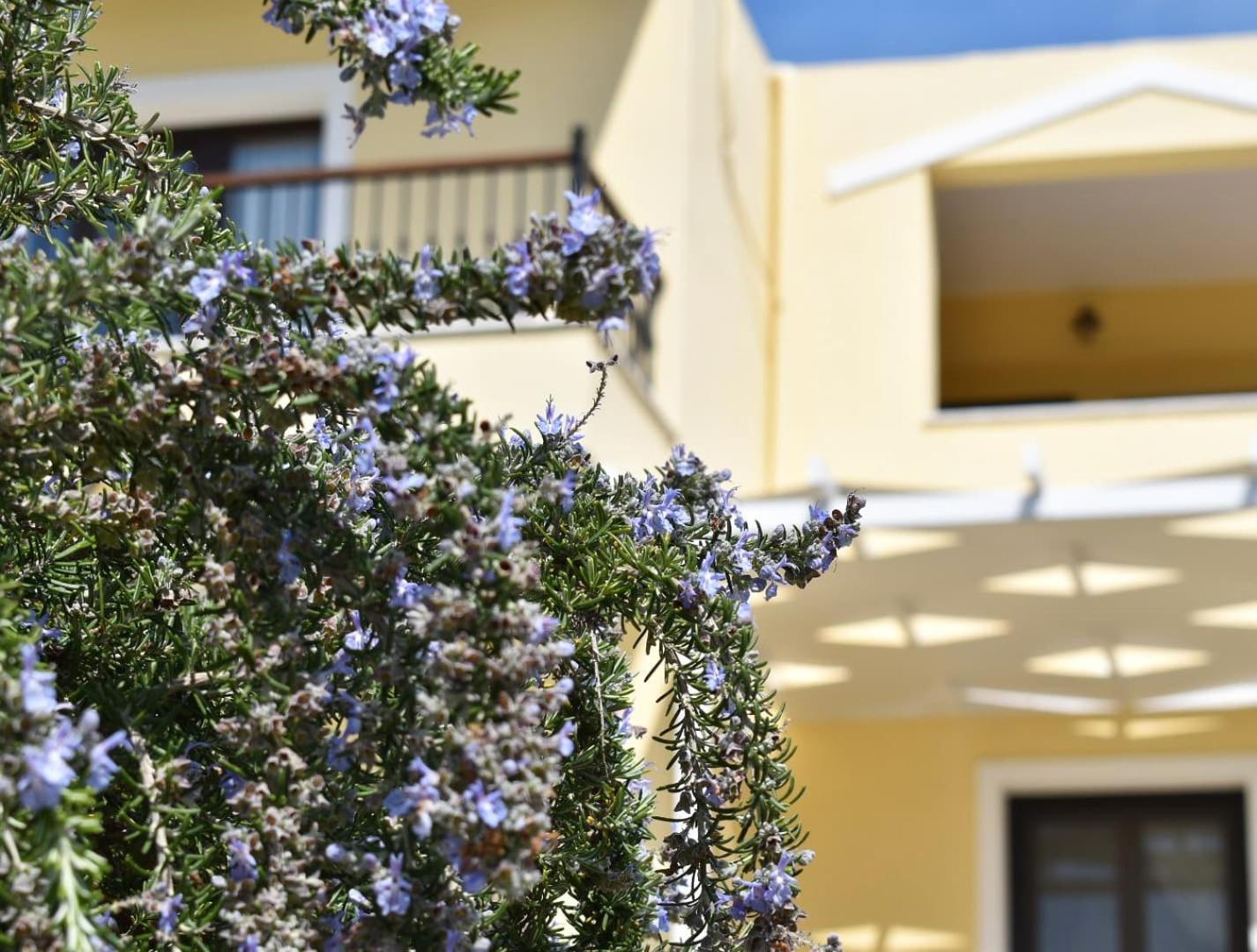 Kolios Anemi Superior Deluxe Suite מראה חיצוני תמונה